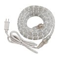 Diamond Sparkle 24 ft. Decorative Clear Rope Light DI2514194